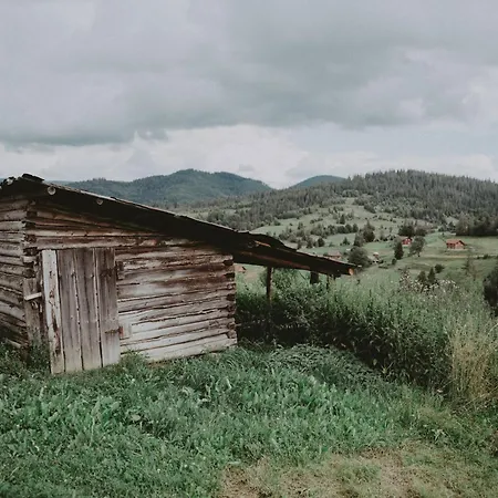 Svitanok * Khashchovanoye