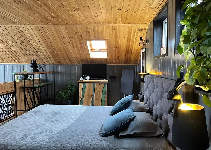Apartamento Svitanok *