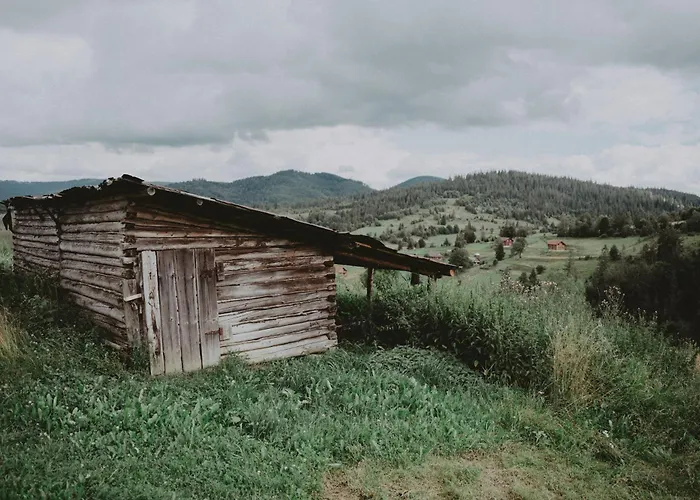 Svitanok * Khashchovanoye